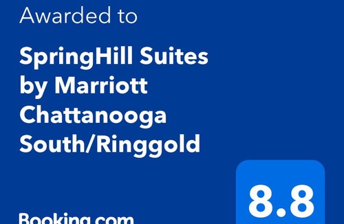 Ringgold Hotel | SpringHill Suites by Marriott Chattanooga South/Ringgold