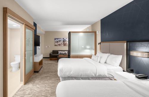 Jackson Hotel | SpringHill Suites by Marriott Jackson
