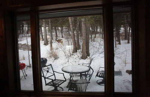 Jackson House | Stunning 4BR, 3BT - Available for 7+ nights upon approval.