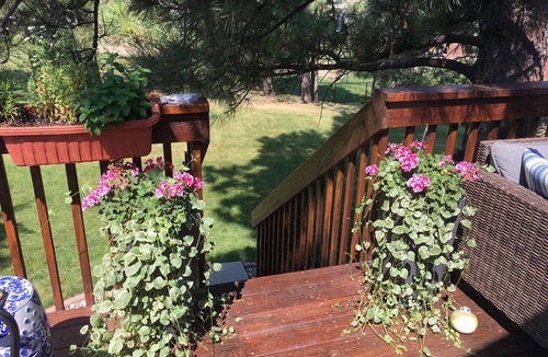Sturgis House | Sturgis Rally Rental - Upscale Home in Sturgis 5 minutes from main street.