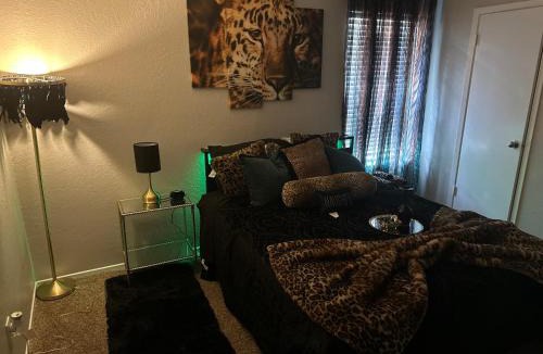 North Arlington Apartment | Stylish 1 bedroom Near ATT Stadium