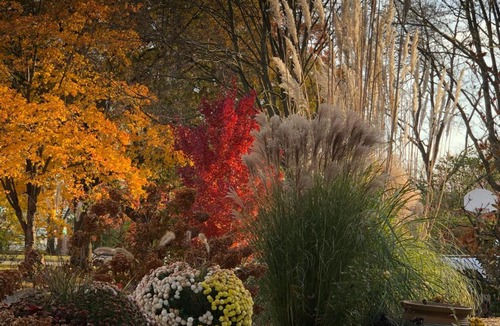 Cedar Falls Bed & Breakfast | Sunlight Splendor Apartment at Twin Oaks Inn by the Trails