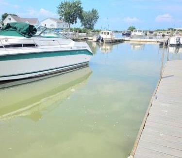 Oak Harbor Apartment | Sunnie Days condo in Oak Harbor on Lake Erie!