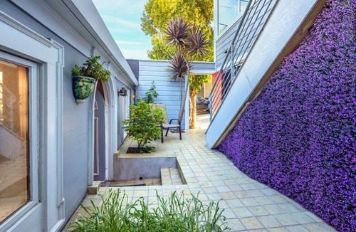 Bernal Heights Condo | Sunny Bernal Heights Casita with Private Entrance