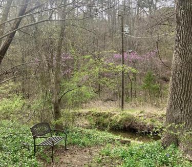 Mena House | Sunnybrook Cabin, wooded, private with stream, near ATV trails