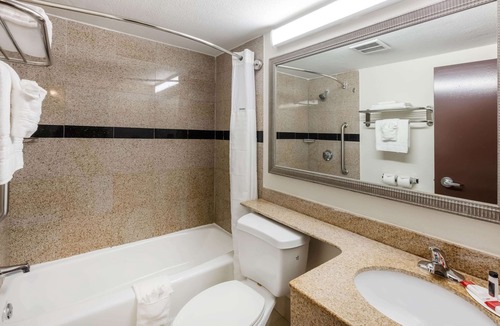 Beaumont Hotel | Super 8 by Wyndham Beaumont I-10 South/College St