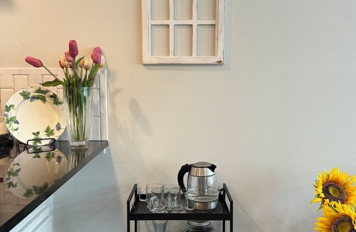 West Valley House | Ted Mason 5 Mi. Luxury Townhouse: Private, Quiet, Convenient w/Fireplace & Park