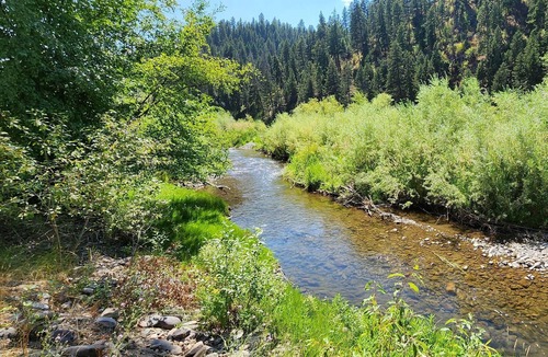 Clinton RV Rental | Tentrr Signature Site - B4mc River Ranch - The Cottonwoods