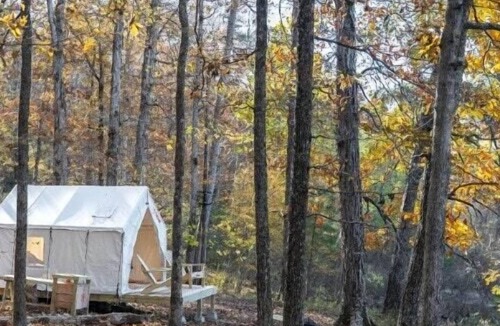 Dennis RV Rental | Tentrr State Park Site - Mississippi Tishomingo State Park - Haynes Lake South C