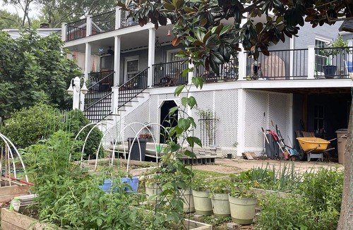 Shelby House | The Fig Tree Garden House. Casual elegance in a park like setting