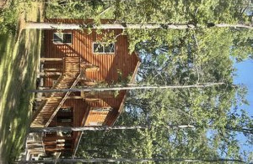 Converse Cabin | The PromiseLand 218C