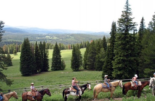 Moran House | Three Fantastic Cottages, Located Near All the Excitement w/ Parking!