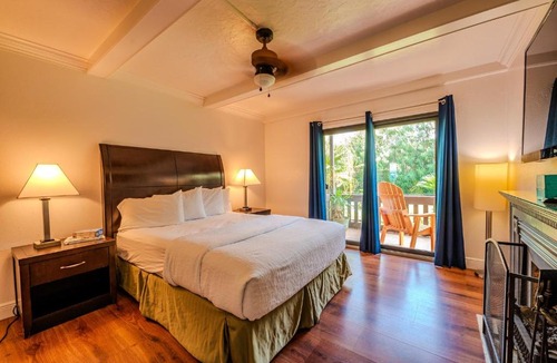 South Padre Island Apartment | Toucans Retreat Tranquil 1BR Condo with Patio 102