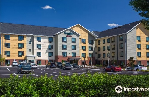 Florence Hotel | TownePlace Suites by Marriott Florence