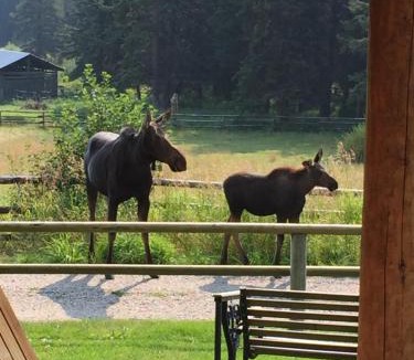 Wilson House | Trail Creek Ranch