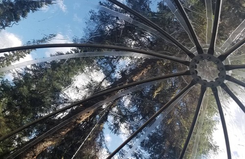 West Glacier Resort | Tree House Tent Cocoon #01