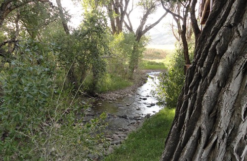 Cody Cabin | Trout Creek Lodge on the water