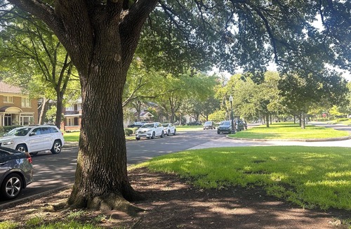 Junius Heights Apartment | Urban Escape Stylish 2 BR Apt
