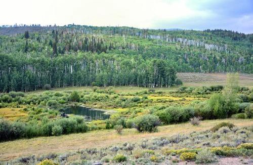 Walden House | Wapiti Retreat at 22 West Cabins and Recreation