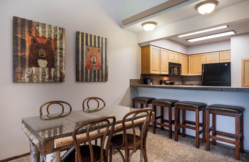Bigfork Condo | Waterfront condo w/fireplace, balcony & incredible views - Marina Cay Landing