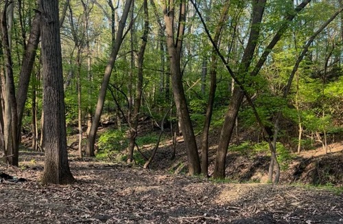 Ames Cabin | Where wellness comes naturally