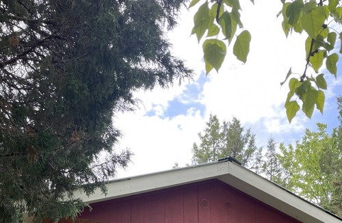 Helena Cabin | Wildly Comfortable Cabin with Queen bed at Norwegian Wood Ranch