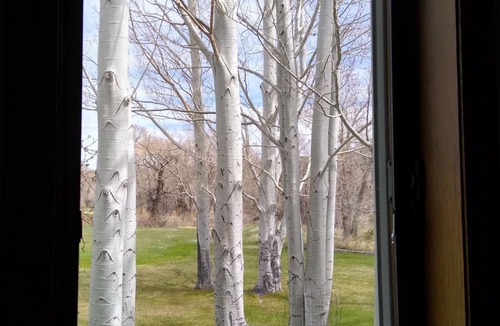Big Timber House | Yellowstone River Retreat in Big Timber, Montana! A few minutes from Downtown.