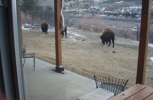 Gardiner House | Yellowstone Riverbend Cabin - Waterfront + Wildlife! 3 miles from Gardiner!