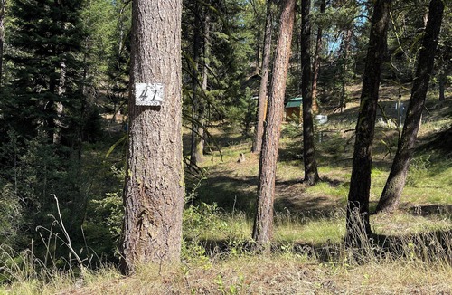 Cascade RV Rental | ~Zen Cascade~ A great private camping spot w/power & septic amongst the trees