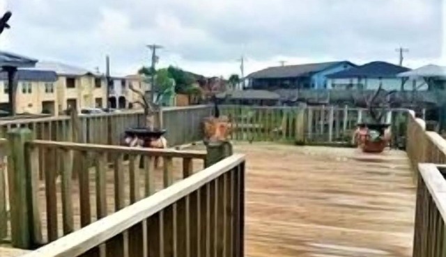 2 Boat Slips with Lifts. Fishing Light. 2 Bedroom, 2 Bath.