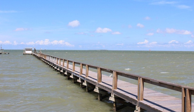 200 North Shore - Cozy Waterfront Cottage! Excellent Fishing!