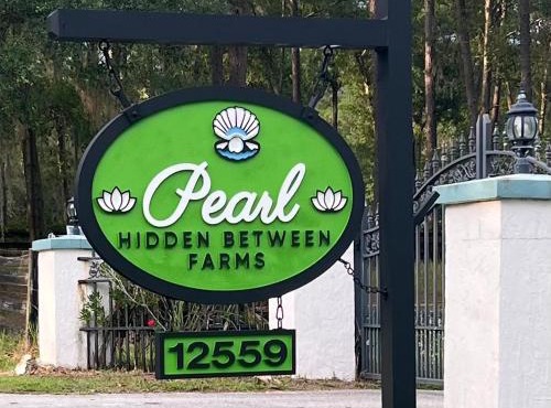 A Pearl Hidden Between Farms in Reddick