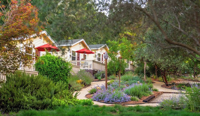 Aurora Park Cottages