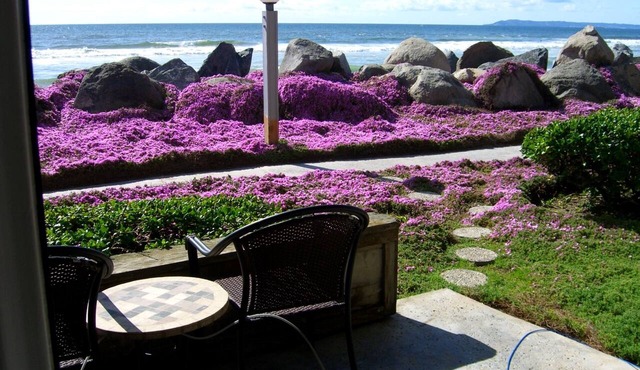 Beach Front Condo Nothing Between You & The Ocean! STEPS TO THE BEACH👙