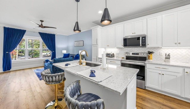 Beautiful Downtown apartment. Walk to historic downtown retail, dining & fun