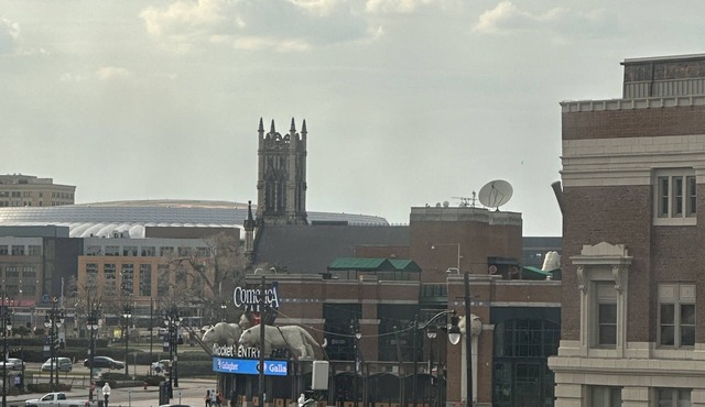 Central Downtown Detroit 1 Bedroom staynNear all Stadiums