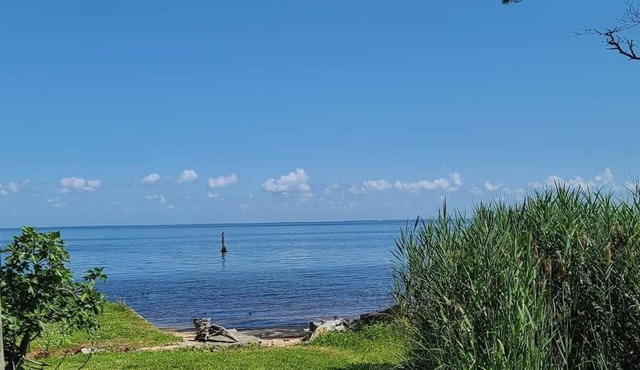 Columbia Soundside Cottage