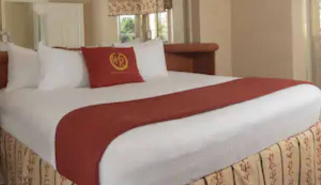 Cozy 1-bedroom resort with WiFi, AC in terrific Orlando