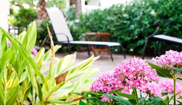 DeSoto Beach Gardens