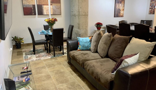 Detroit Luxury King Size Loft W/A lot of Amenities & Game Room (Near Downtown)