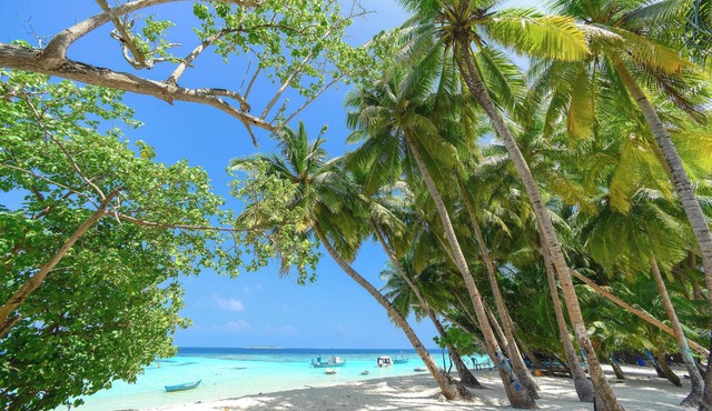 Enjoy dependable value by the beautiful Pacific !