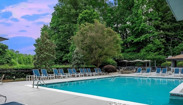 Experience Soothing Moments & Luxury! Pet-Friendly, Parking, Pool!