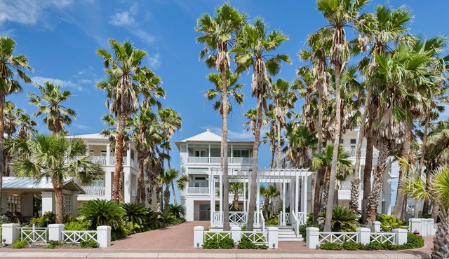Featured in Coastal Living Magazine "Palm House" in Shores Division