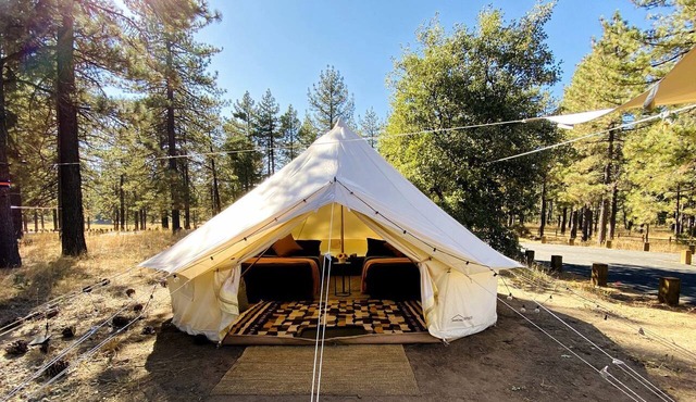 Grand Adventures in Nature: Big Group-Friendly and Original Glamping in California