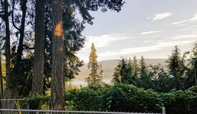Great view !! Grape Vine Near The Lake a must see .