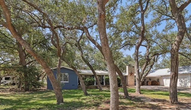 HunterLodge near Gruene