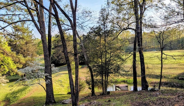 Jones Creek Hideaway - A Pet friendly 13 acre retreat near Fine Creek