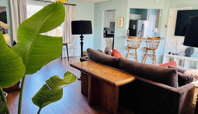 Just INN TIME! 2br/2ba Central ATX, Free parking