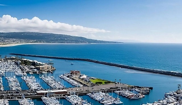 King Harbor Adventure! Whale Watching, Pets Allowed, Outdoor Pool & Jacuzzi!