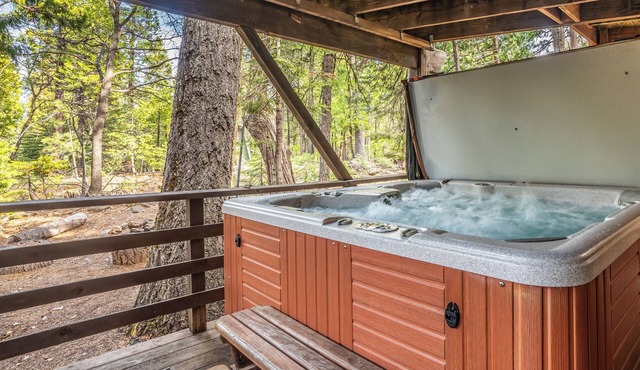 Le Chalet cabin with Hot Tub near Big Trees!